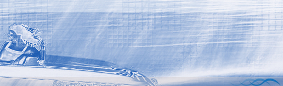 Founded in 1994, HieroWeb Interactive develops, creates, markets and maintains sites on the Internet / Intranet / Extranet